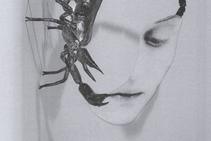 Tortoise: Touch REVIEW